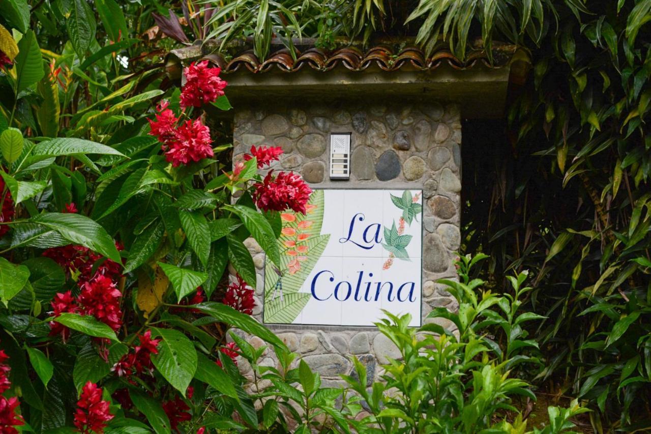 Finca La Colina Bed and Breakfast Calarcá Exteriör bild